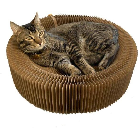 Cat Scratcher Lounge Bed - Collapsible Round Shape for Big cat - Picture 1 of 6